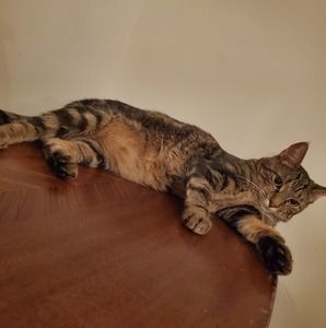 Meet your Posher, Jody